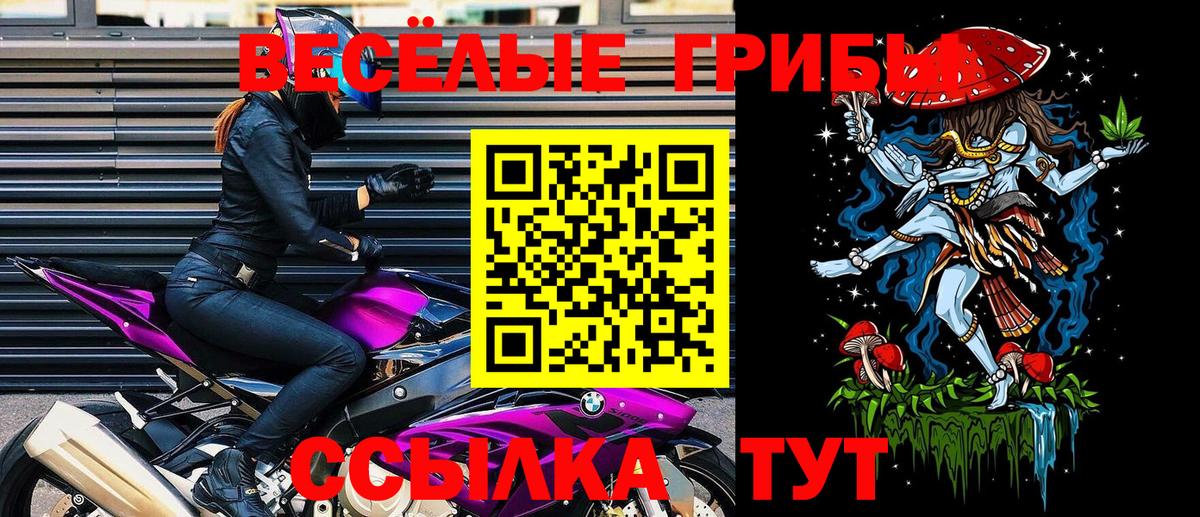 Псилоцибиновые грибы Psilocybine cubensis  Вход с VPN  Северск 