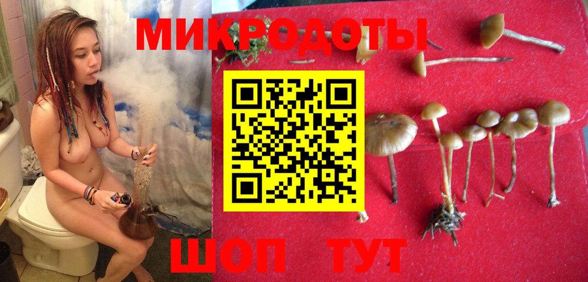 Галлюциногенные грибы Magic Shrooms Северск